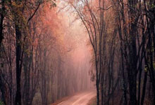 北单足球官网首页能提供哪些服务？如何高效使用其功能？