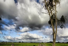 2023乒乓球今日赛程都有哪些精彩对决？